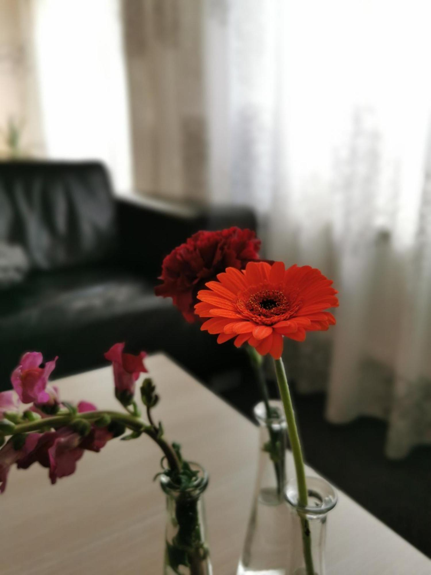 Housing De Brouwerij Bed & Breakfast Westdorpe Rom bilde