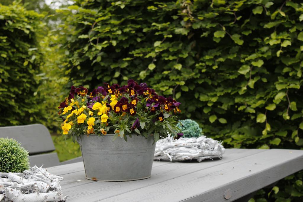 Housing De Brouwerij Bed & Breakfast Westdorpe Eksteriør bilde